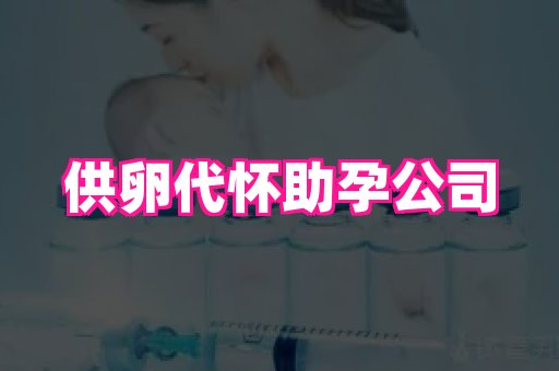 香港助孕网 1
