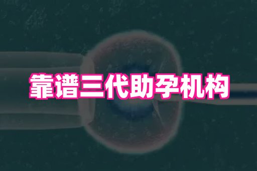 香港助孕网 3